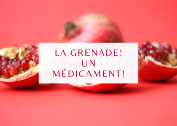 Les Bienfaits de la grenade, un fruit mythique venu de Perse!