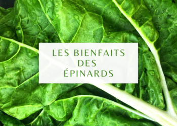 Les bienfaits des épinards
