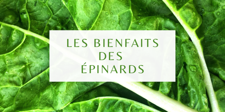 Les bienfaits des épinards
