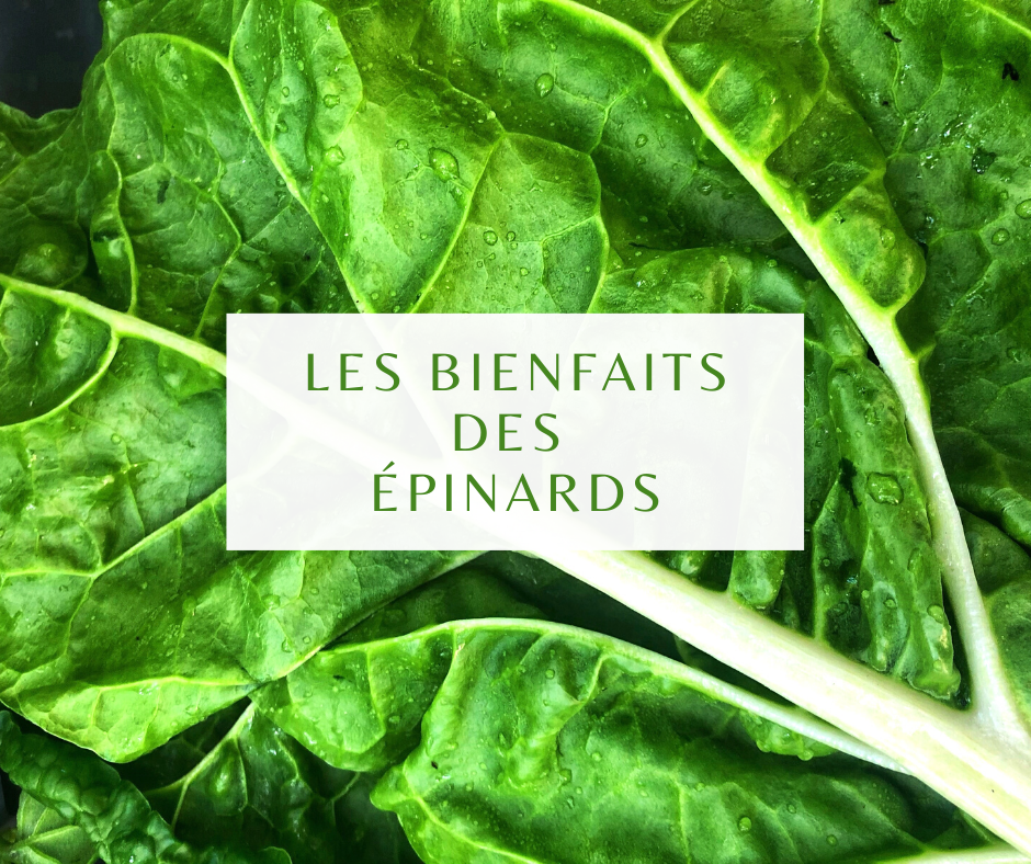Les Epinards Du Vert Et Du Fer Mais Pas Que Zaralogie